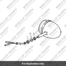 Indicator assembly (T2700293)