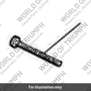 Screw, Tail Lamp (T2700349)