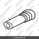 Stem (T2700426)