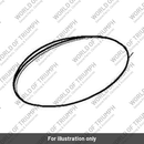 Lens (T2700433)