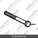 Screw (T2700441)