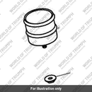 Nut & Washer Assy, M5, Slv (T2700493)