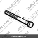 Screw (T2700641)