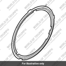 Support Ring, Headlight Bezel (T2700733)