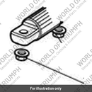 Nut, Flanged, M8 (T2701571)
