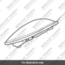 Rear Light, LED, Chrome (T2701988)