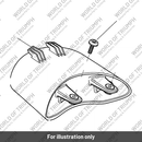 Rear Light Assy, LED (T2703219)