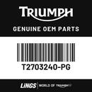 Bezel, Headlamp, Jet Black (T2703240-PG) barcode