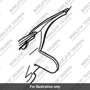 Number Plate Bracket, Main (T2704005)