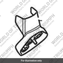 Cover, Number Plate (T2704522)