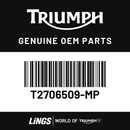 Headlight Bowl, Painted, Silver Ice (T2706509-MP) barcode
