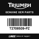 Bowl, Headlight, Painted, Matt Sapphire Black (T2706509-PZ) barcode
