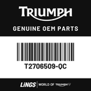 Bowl, Headlight, Painted, Sapphire Matt (T2706509-QC) barcode