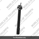 Bolt, TX25, M6 x 65 (T3000091)