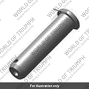 Pivot Pin, 12mm (T3000124)