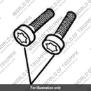 Capscrew (T3050004)