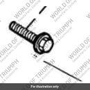 Screw, Skt/Hd, M6 X 20, S/S (T3050059)
