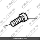 Capscrew (T3050097)