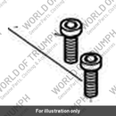 Screw, Skt Hd, Ss (T3050132)