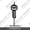 Screw, Cap/Hd, M5 x 16, S/S (T3050139)