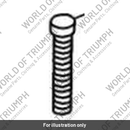 Screw, Cap HD, M5x30, SS (T3050144)