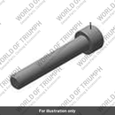 Screw, Cap/Hd, M10 x 60 (T3050153)
