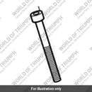 Bolt, Cap/Hd, M10 x 90, Slv (T3050154)