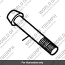 Screw, M10 x 1.25x 65 (T3050174)