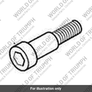 Capscrew, S/HD, M10 x 35 (T3050220)