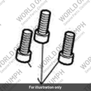 Screw, Cap/Hd, M10 x 35, Enc (T3050228)