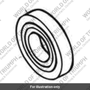 Capscrew, Skt/Hd, M6 x 35 (T3050302)