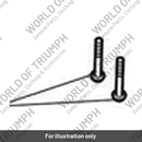 Bolt, M5 x 20 (T3050314)