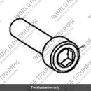 Screw, Cap/Hd, M6 x 25, Slv (T3050333)