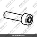 Screw, Cap/Hd, M5 x 20, Slv (T3050346)