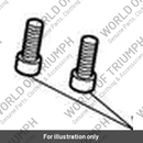 Screw, Cap/HD, M8 x 25, Slv, Enc (T3050410)