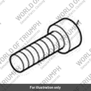 Screw, Cap/Hd, M10 x 30, Slv (T3050430)