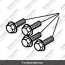 Bolt, HHF, M8 x 20, S/S (T3050505)