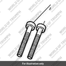 Screw, Cap/HD, M8 x 40, Slv (T3051032)