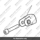 Screw, Cap/Hd, M8 x 45 (T3051043)