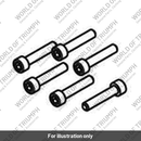 Screw, Cap/Hd, M6 x 30, Slv (T3051061)