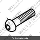 Screw, But/Hd, Tx, SS, M8 x 35 (T3051075)