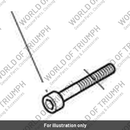 Screw, Cap/HD, M6 x 40, Enc (T3051081)