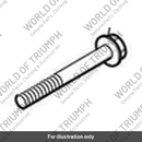 Screw, Cap/Hd, M6 x 50, Enc (T3051082)