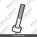 Screw, Cap/Hd M5 x 25, Slv, Enc (T3051223)