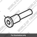 Screw, RH Cap/Hd, M8 x 25, ENC (T3053003)