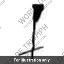 Stud (T3100007)