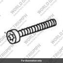 Bolt (T3150100)