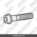 Bolt, HHF, M12 x 70, Silver (T3150316)
