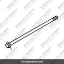 Bolt, HHF, M10 x 225, Slv (T3151046)