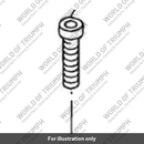 Bolt (T3200041)